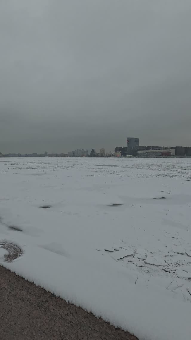 Лёд стал на Неве. Мост Александра Невского