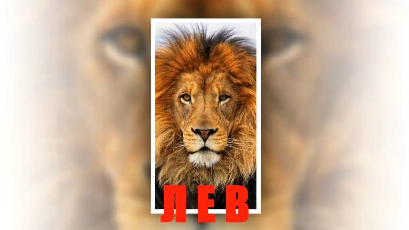 ЛЕВ - занятие по развитию вербального интеллекта.