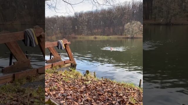 #Моржевание #закаливание