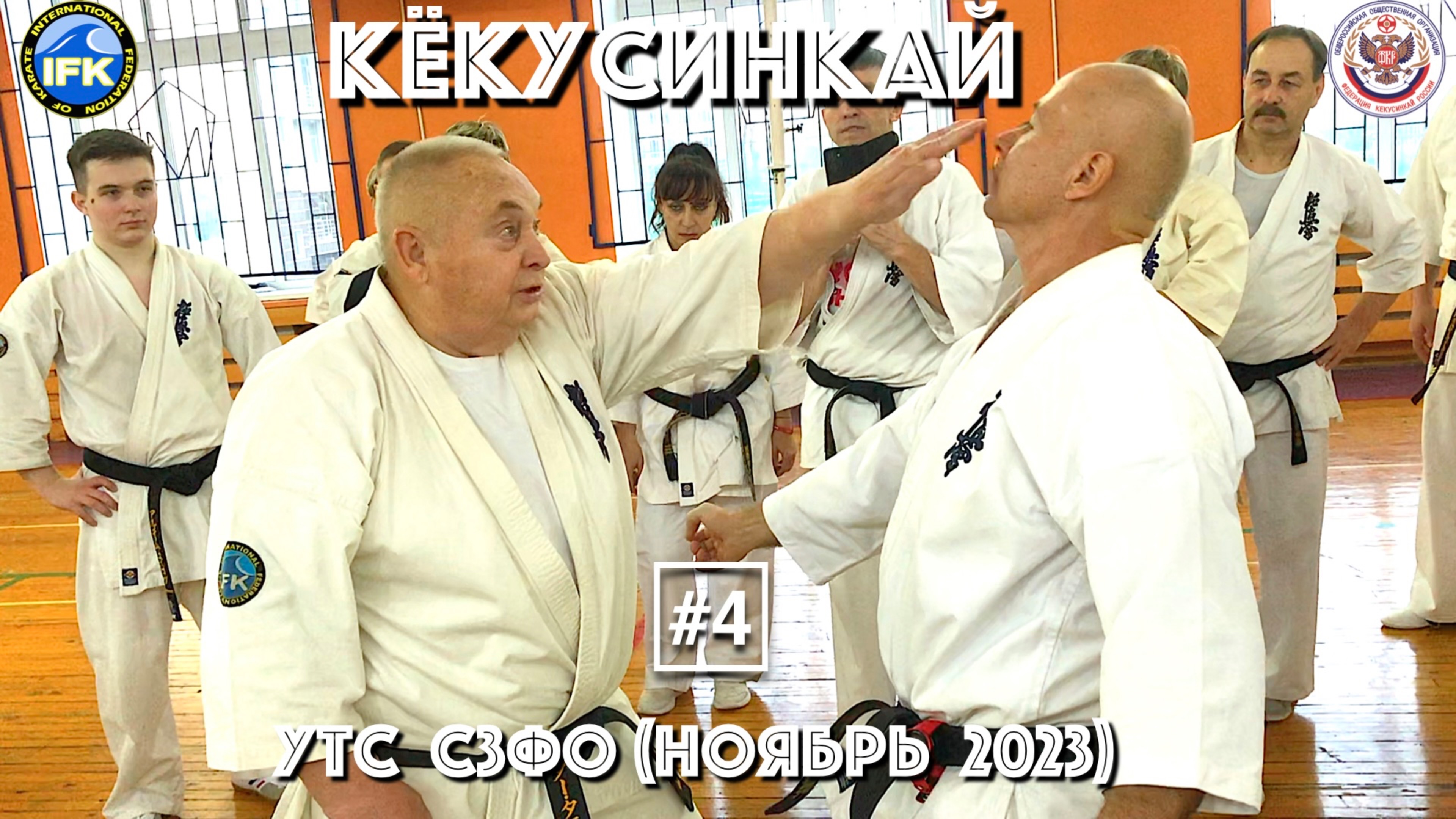 Кёкусинкай / Учебно-тренировочные сборы СЗФО / Сихан Танюшкин / Санкт-Петербург (ноябрь 2023) #4