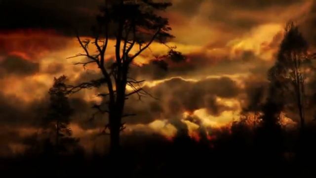 День Электрика