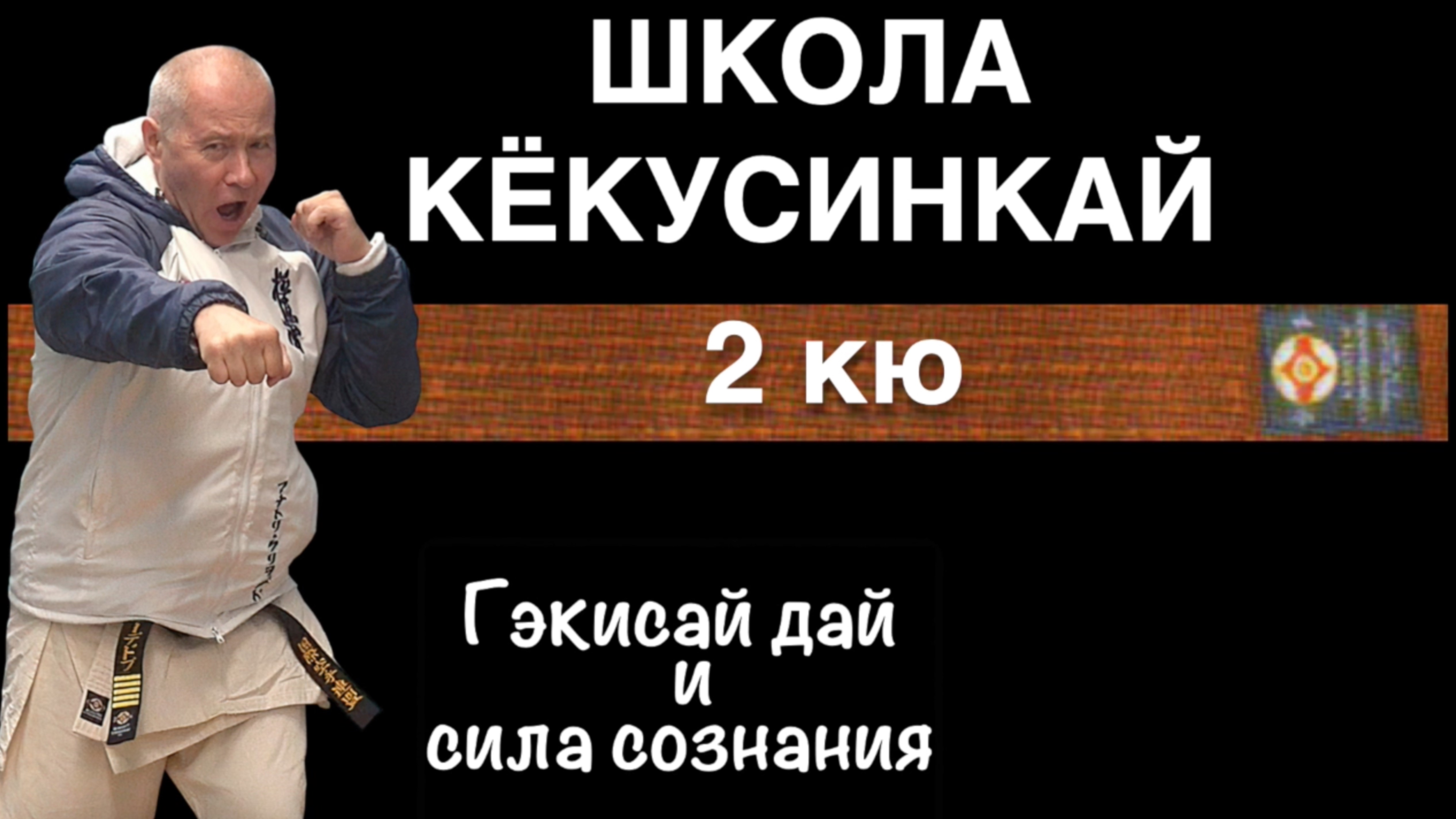 ШКОЛА КЁКУСИНКАЙ / 2-й кю / Гэкисай дай / Глубокая проработка