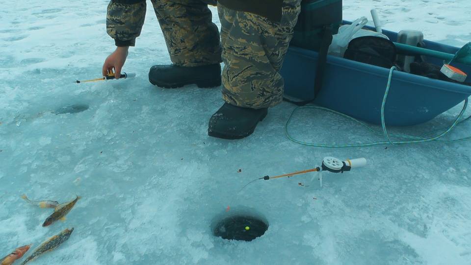 Зимняя рыбалка. Ловля бирюка на реке Дон.
