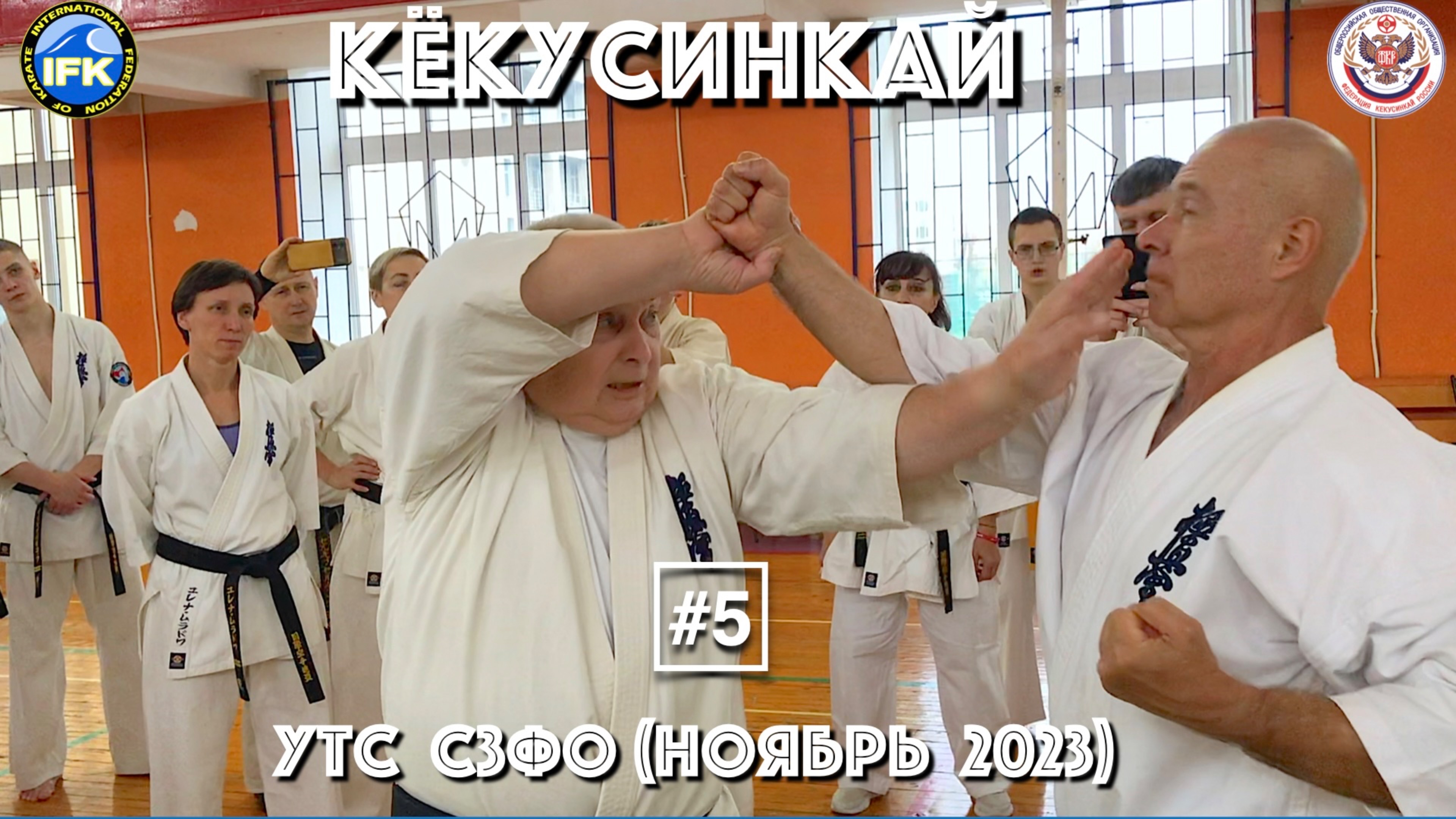 Кёкусинкай / Учебно-тренировочные сборы СЗФО / Сихан Танюшкин / Санкт-Петербург (ноябрь 2023) #5