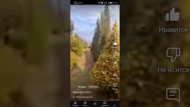 Формированные зеленые красавцы и красавицы 😍 🌳🌲🌱готовы к пересадке.