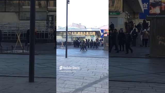 Санкт-Петербург. 26.12.2024. (Съемка от 15.12.2024). Памятник Конке на Васильевском острове