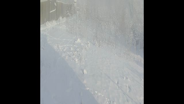 Это просто ляп? Или что то другое.