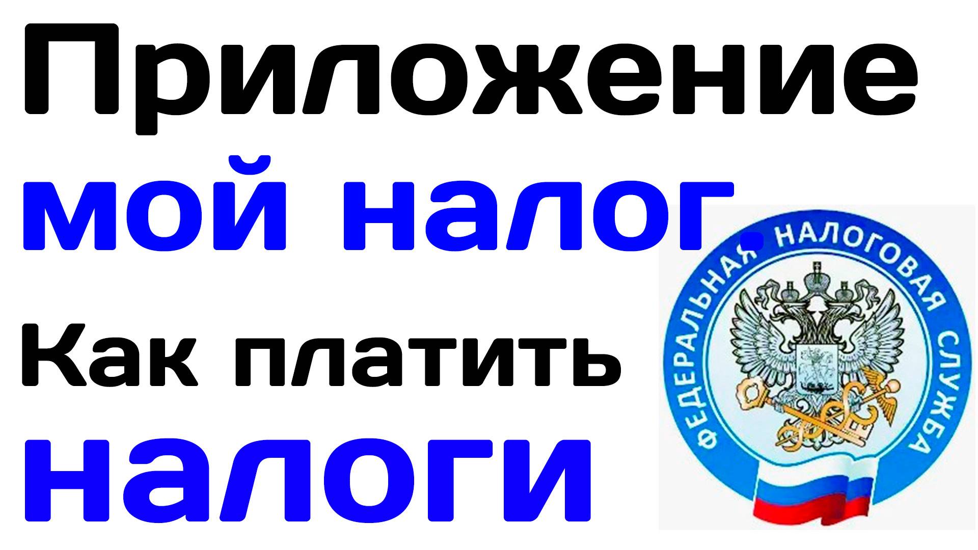 Приложение мой налог. Как платить налоги через приложение