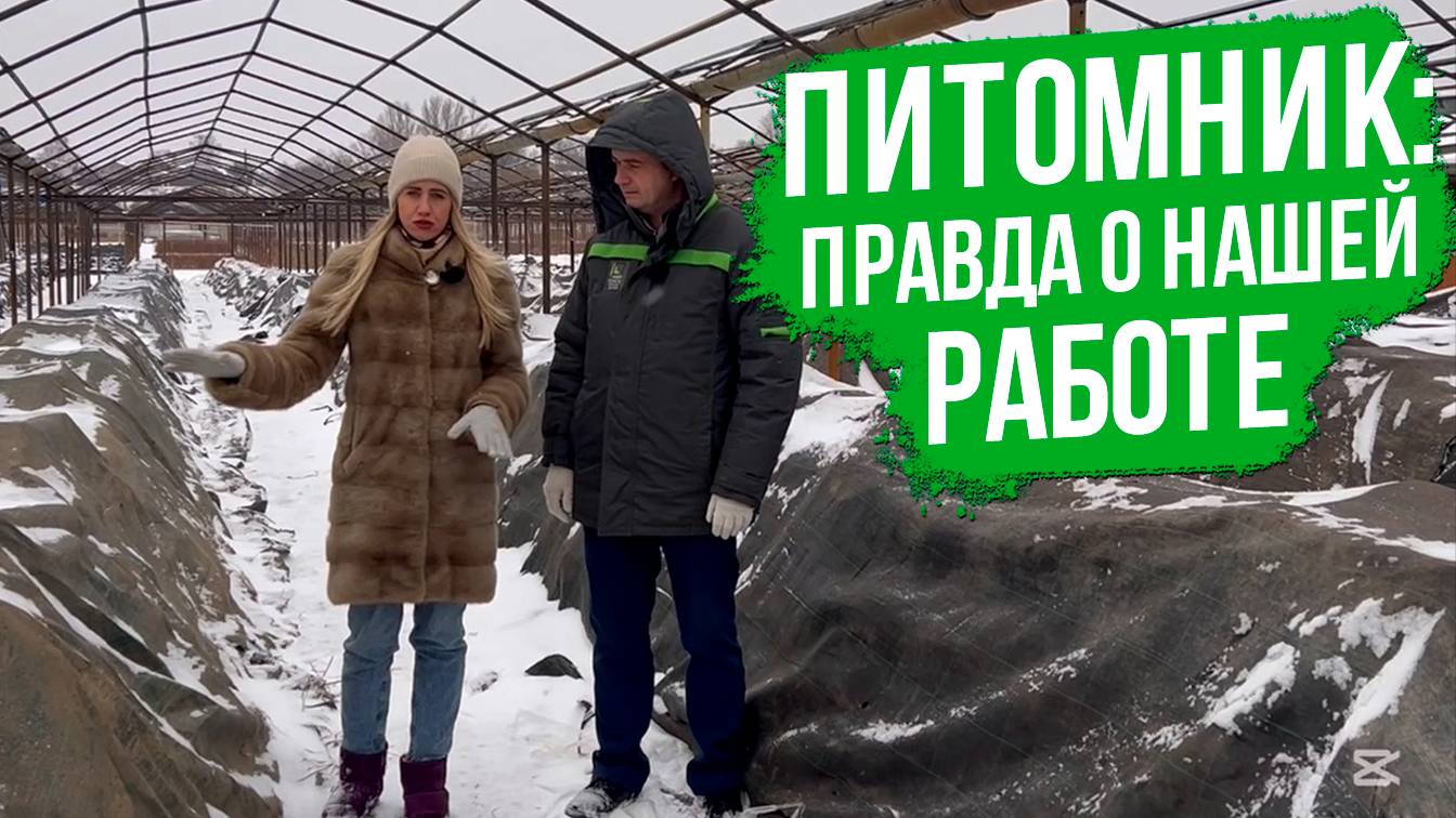 ШОК! Как профессионалы укрывают хвойные и плодовые в питомнике?