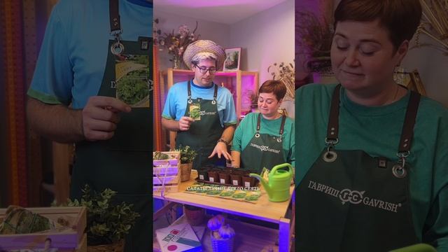 ВЫРАЩИВАНИЕ САЛАТА В ЗИМНЕМ ОГОРОДЕ