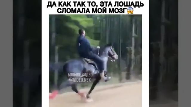 лошадка иноходец