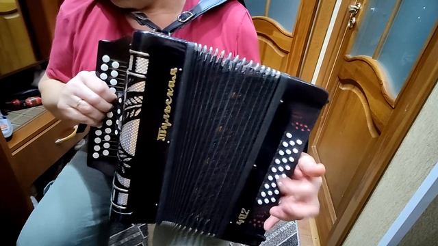 Урок Одинокая ветка сирени на гармони Разбор  3 аккорда 300 песен в медленном темпе от мастера