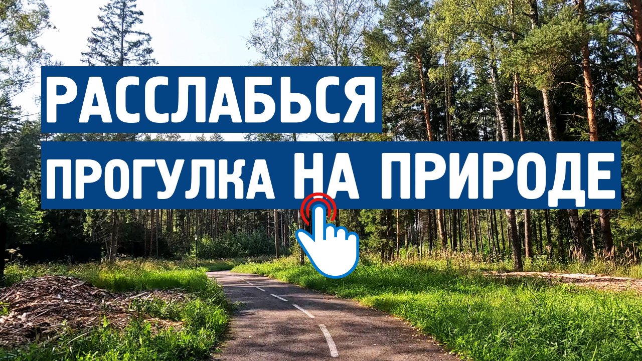 Расслабься : Прогулка на природе \ Музыка от стресса,тревоги,спокойная, для души, без слов.