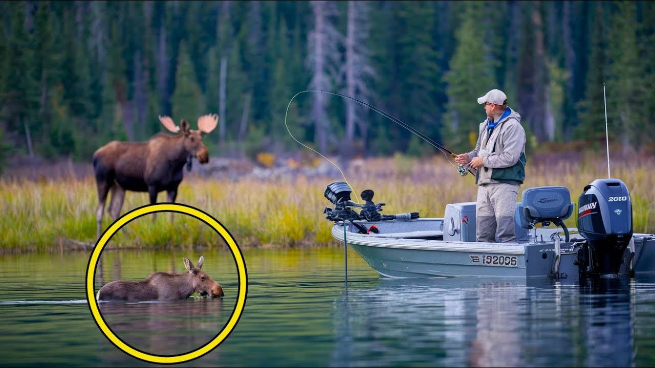 Лосиха, не в силах сдержать слезы, наблюдала за тем, как тонет её детёныш. Однако в следующее мгнове