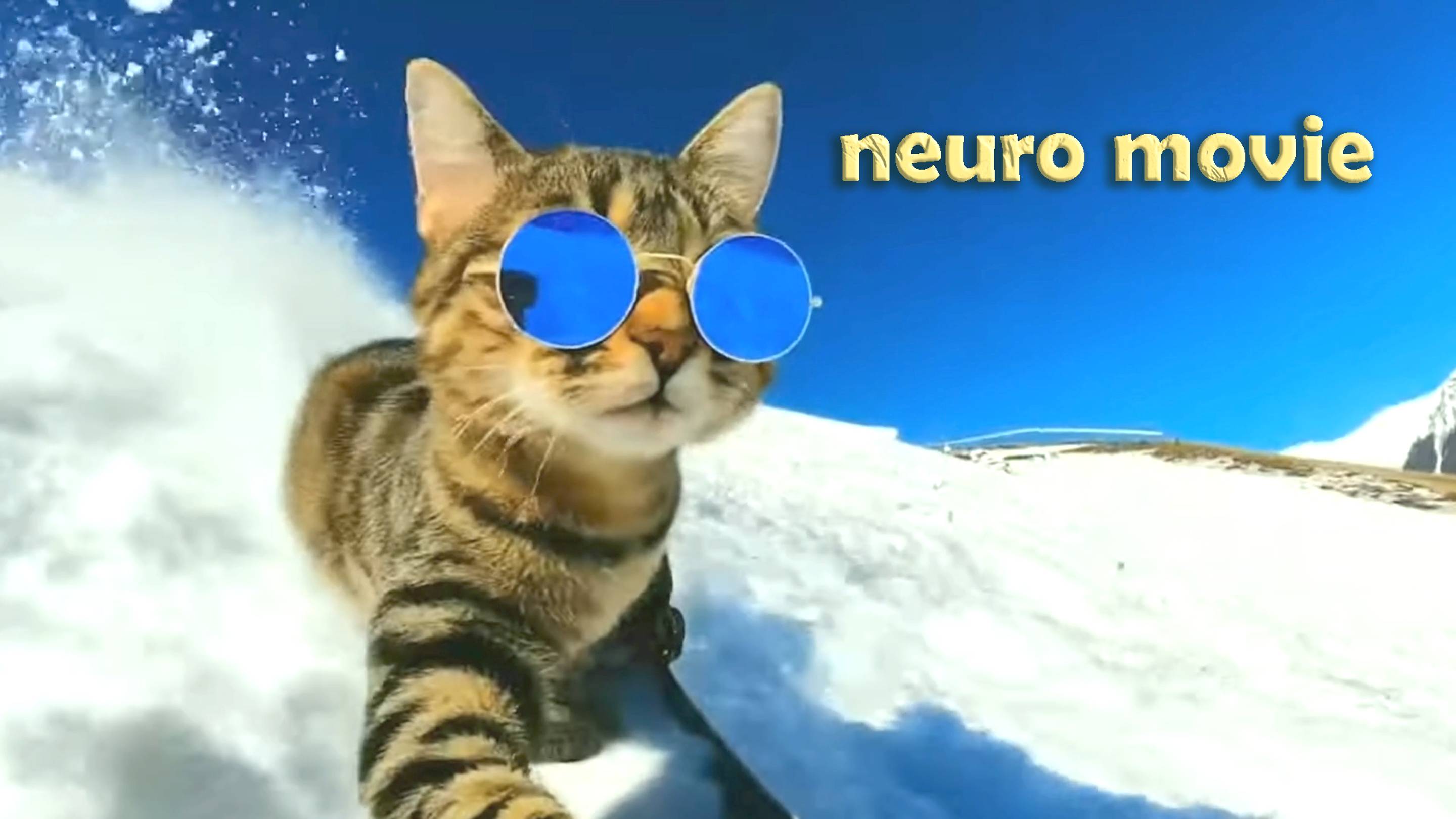 Экстрим животных