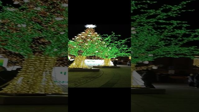 зелёные деревья