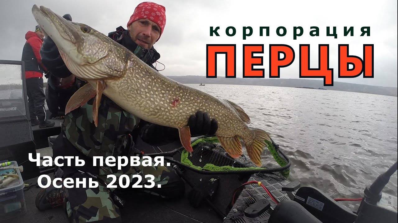 Корпорация Перцы. Часть первая. Осень 2023.