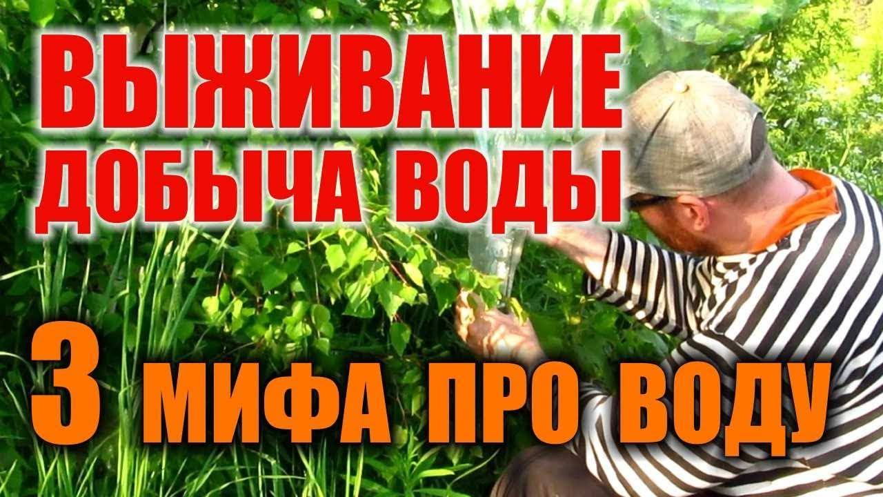 КАК НАЙТИ ВОДУ В ЛЕСУ. ДОБЫЧА ВОДЫ В ТАЙГЕ. ПРАВДА или БРЕД всем известные способы добычи воды?