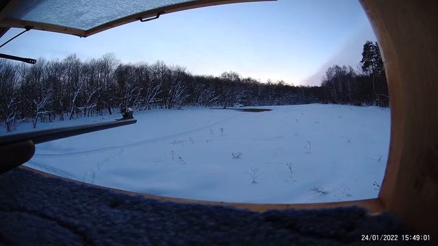 Стрельба с вышки по кабанам.