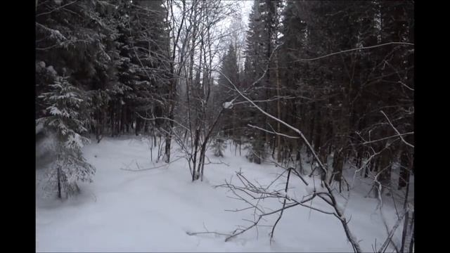 ✅🔥Жизнь в тайге. Охота на Лося троплением. То минус 40, то снег с дождём, как ты к нему подойдёшь!