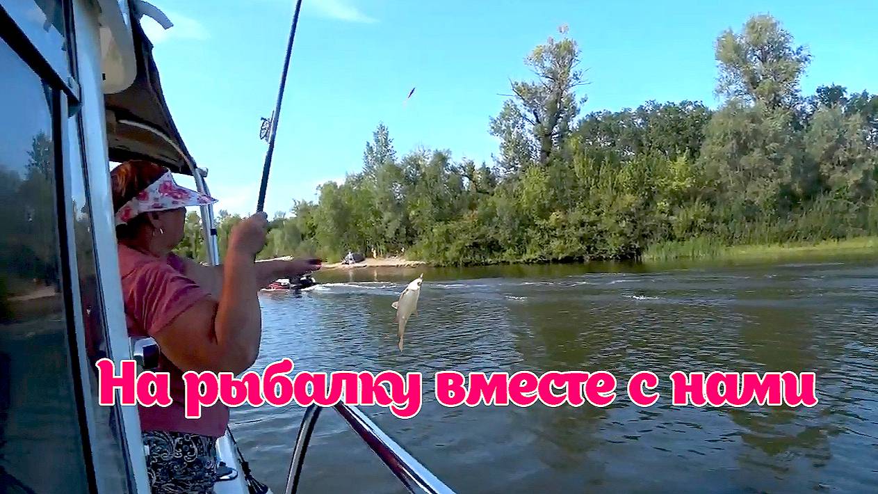 Ловля густеры апрель 2024. Жарим рыбку. ВЕСЕННИЙ ОТДЫХ НА РЕКЕ ВОЛГА.