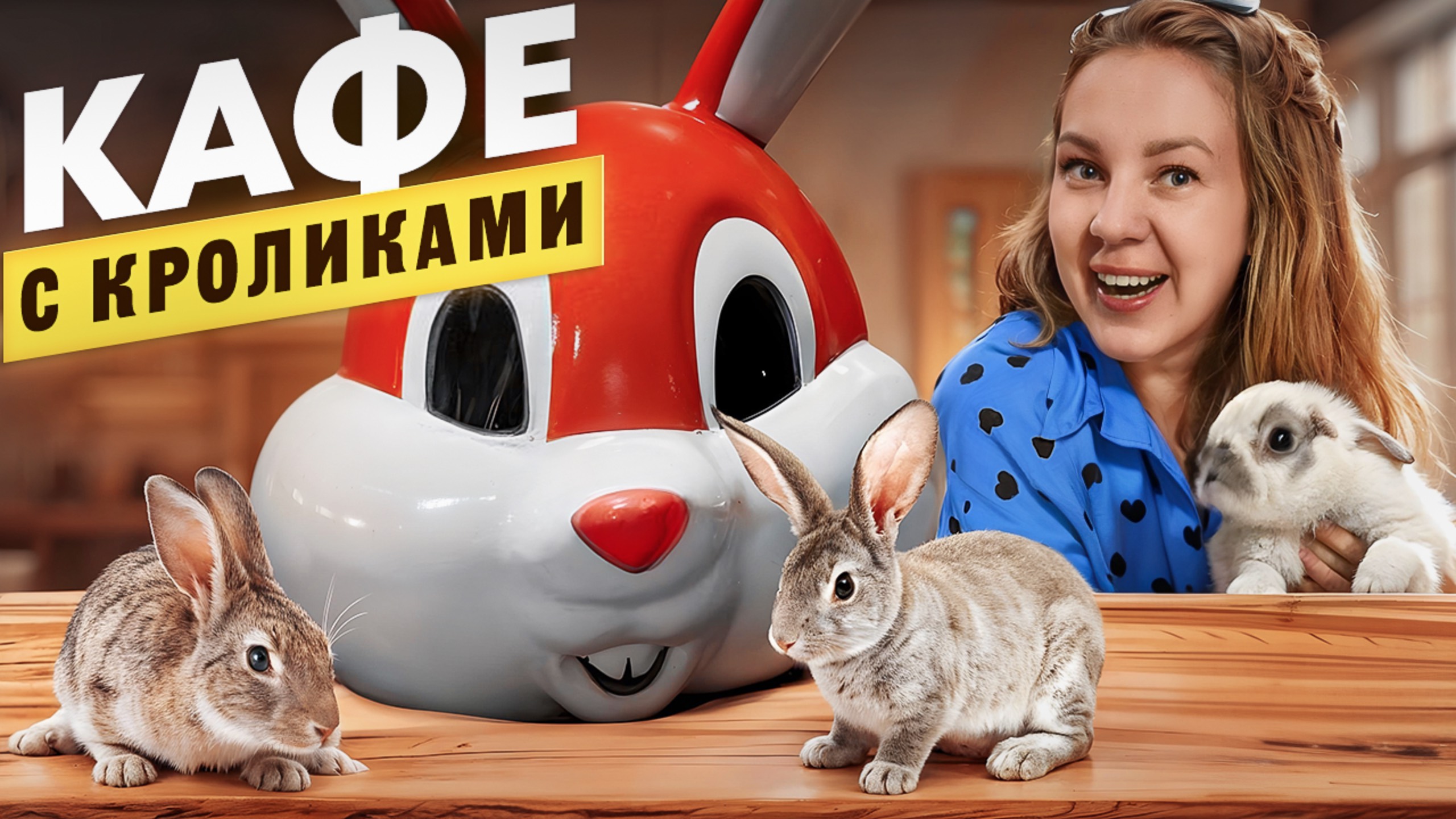 Секретное кафе с кроликами в Паттайе. Как найти это нетуристическое место?!