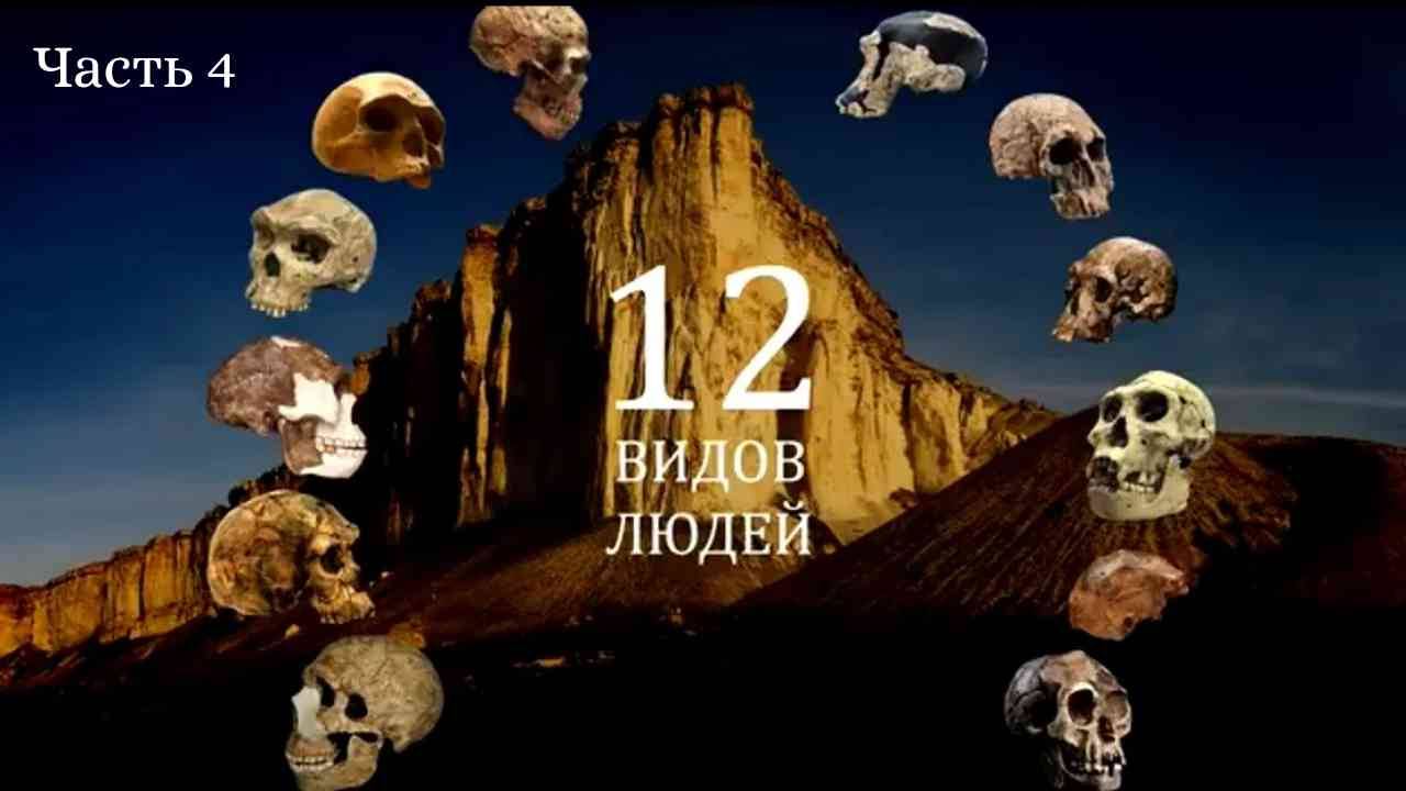 Виды людей. Ч4. Человек работающий .Человек парралельный. Человек наледи. 
/Е. Сударикова/