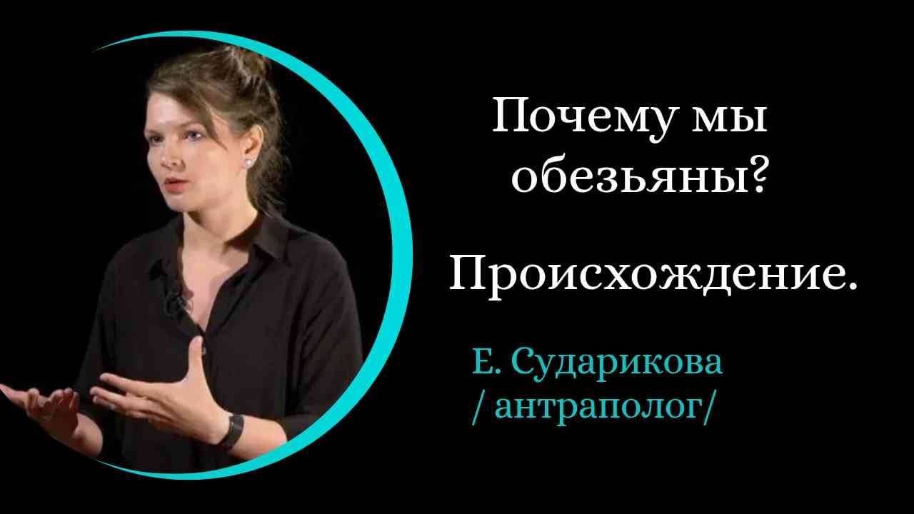 Почему мы обезьяны？ Происхождение человека. /Елена Сударикова/
