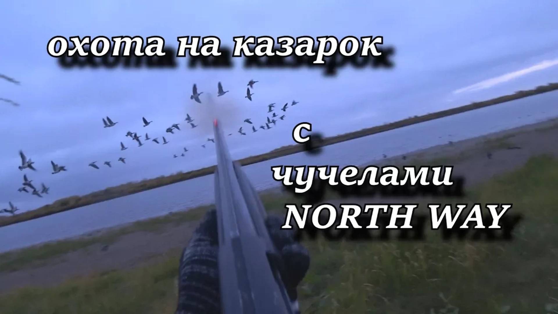 охота на казарок с чучелами NORTH WAY