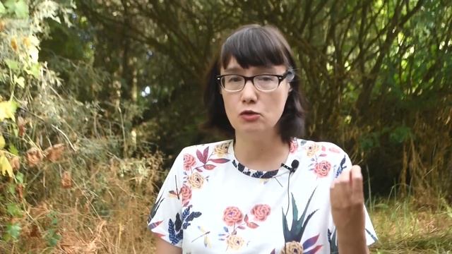 История бескультурья. Кейт Уорн - первая в мире женщина-детектив