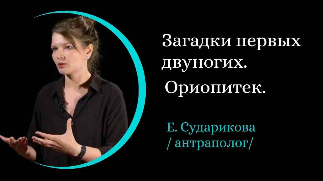 Ореопитек. Загадка первых двуногих. /Е. Сударикова/