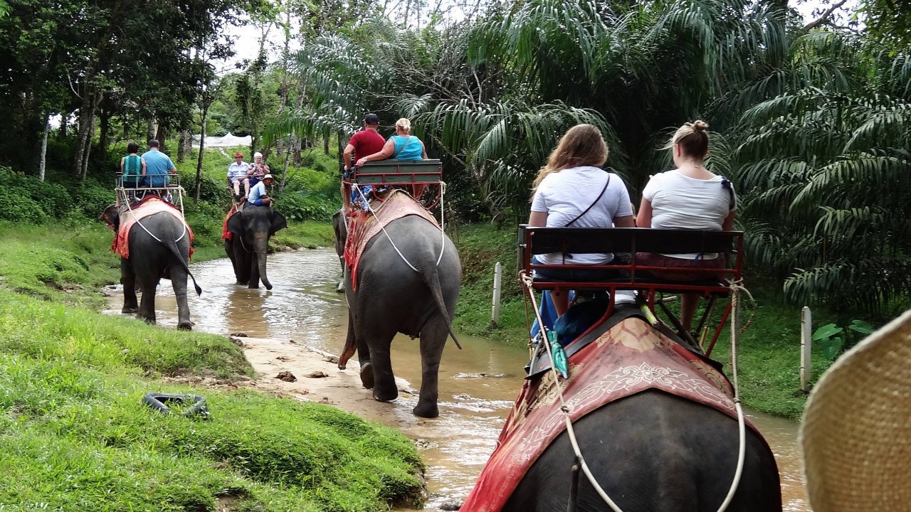 Таиланд. Пхукет. Катание на слонах.