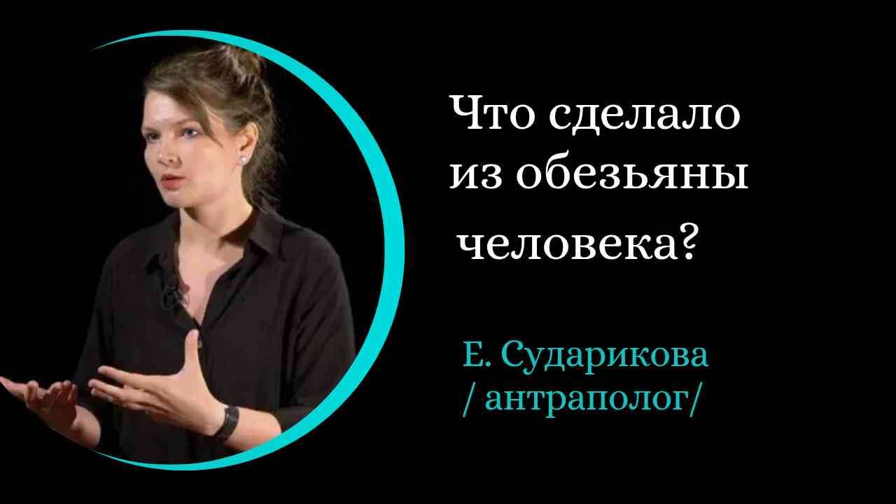 Что сделало из обезьяны человека? /Елена Сударикова/