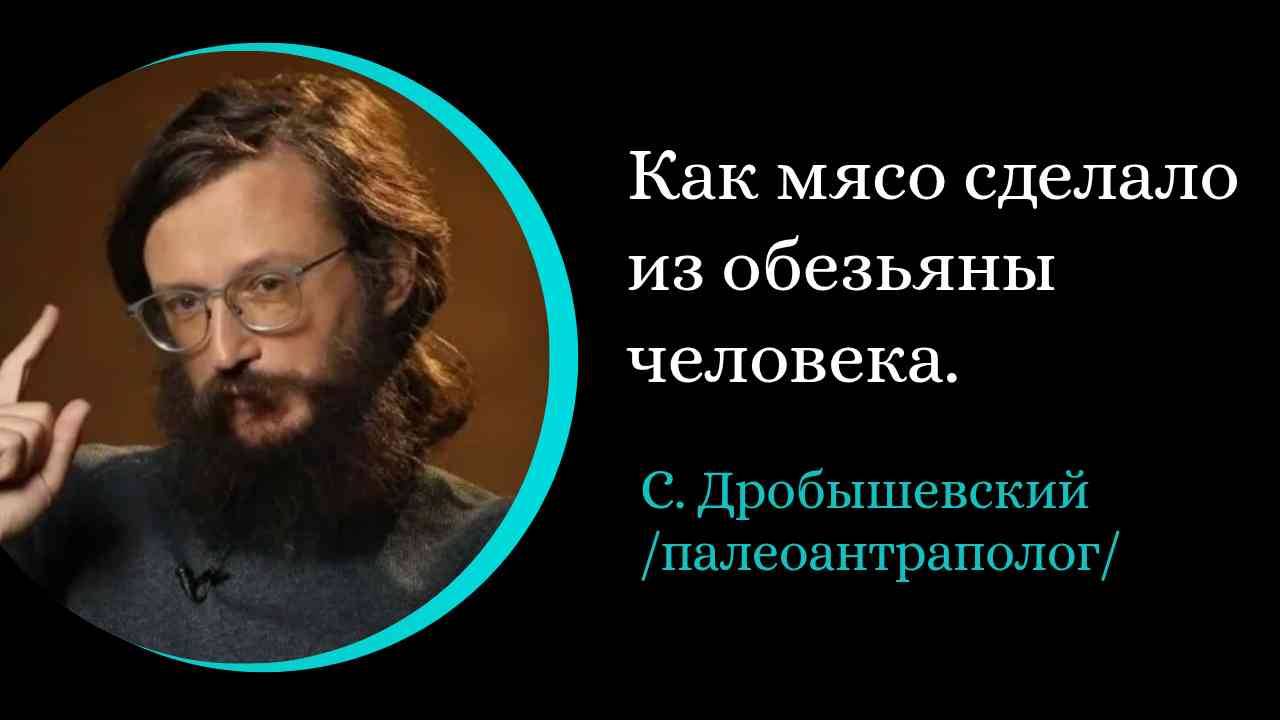 Как мясо сделало из обезьяны человека. / С. Дробышевский/