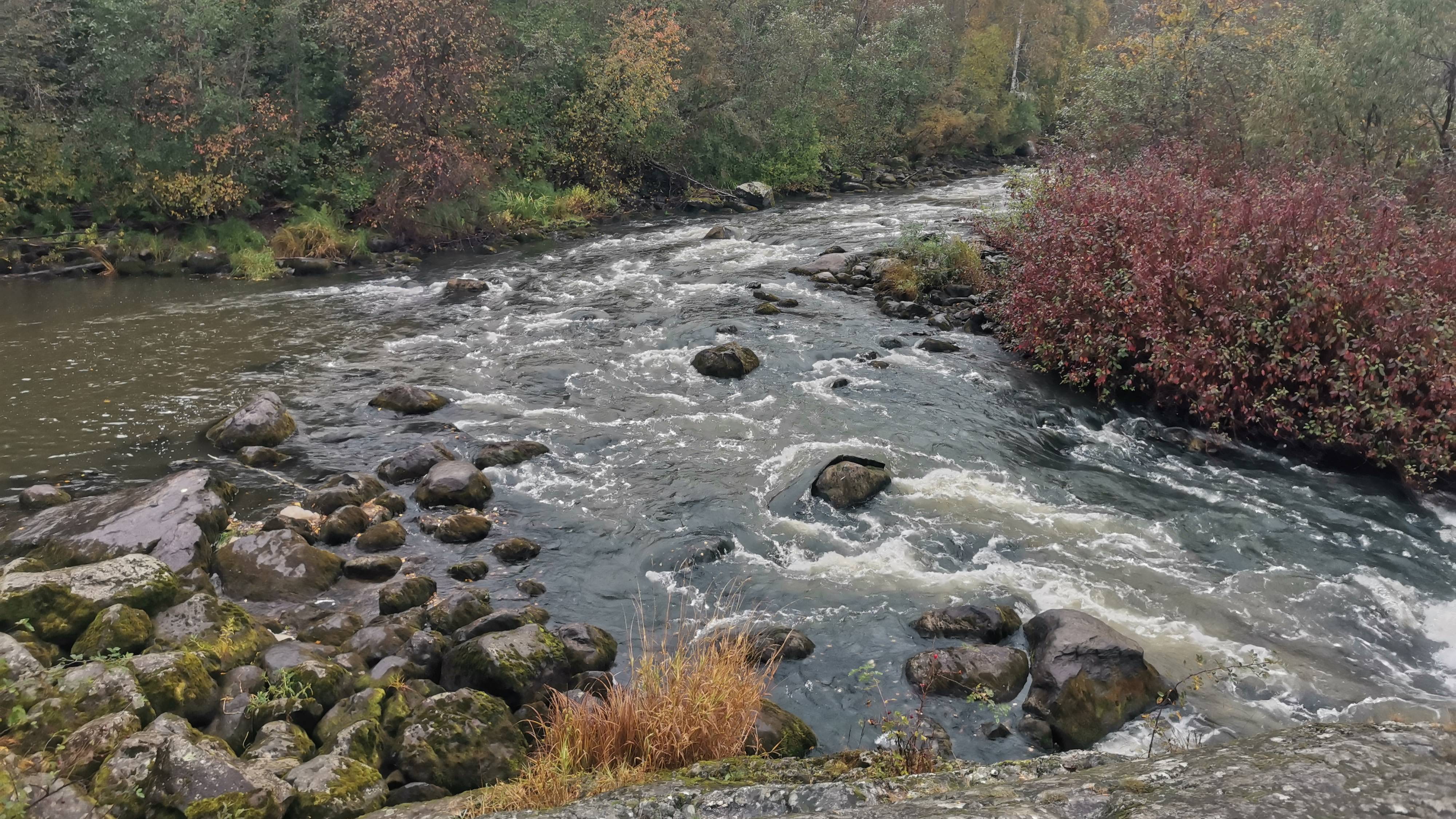 Карелия, на автомобиле.