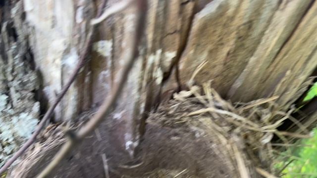 Неожиданная находка, часть 3