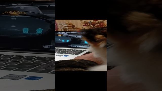 Ну очень залипательная игра 😅😅