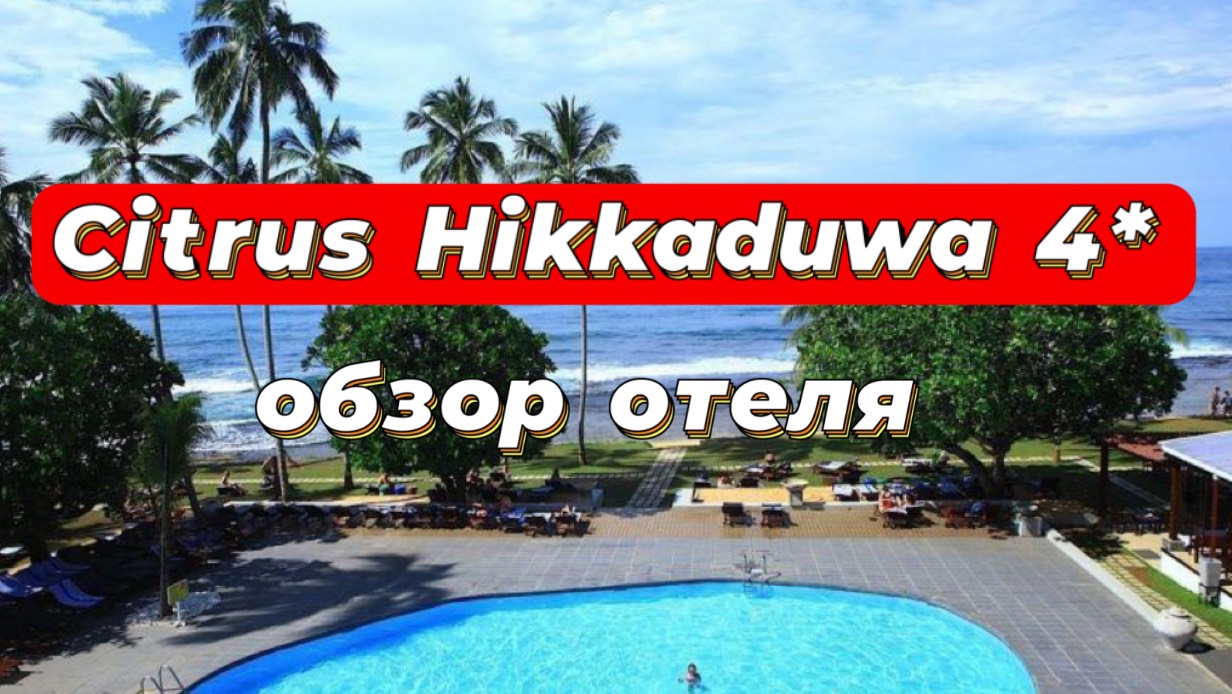 Citrus Hikkaduwa 4* отель цена качество для бюджетного отдыха
