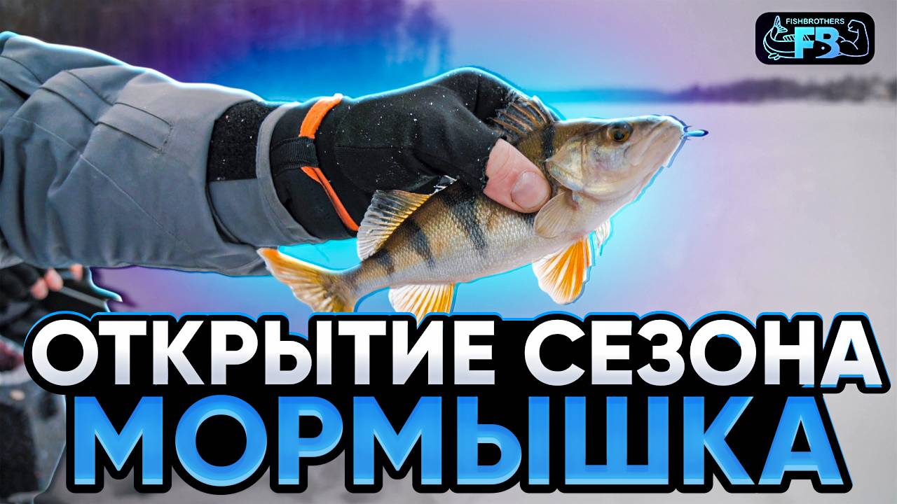 Открыли зимний сезон по мормышке! Безмотылка против классической мормышки!