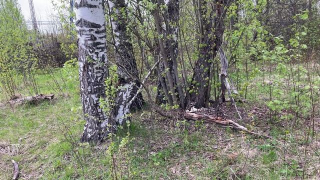 Неожиданная находка, часть 2