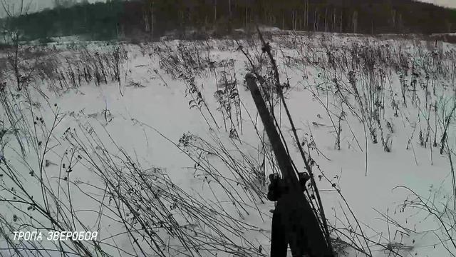 НОВОГОДНЯЯ ОХОТА НА ЗАЙЦА * НЕ ВИДЕЛ ЛЁХА ЗАЙЦА?