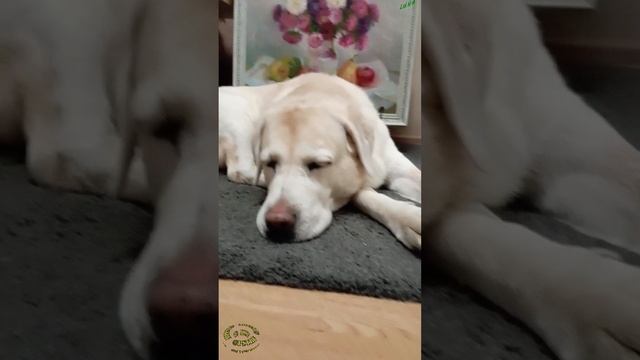 Картина маслом