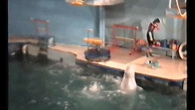 1996.01.21 Дельфинарий