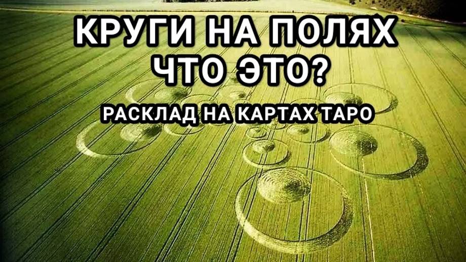 ЧТО ТАКОЕ КРУГИ НА ПОЛЯХ? РАЗГАДЫВАЕМ ЗАГАДКУ ФЕНОМЕНА.
