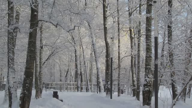 🌲С НАСТУПИВШИМ!🌲| Планы на будущий год | ПАРК ЛОБНИ | Не ГОТОВЛЮ и ухожу ИЗ ДОМА