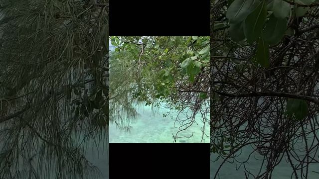 Попали в тюрьму в Африке