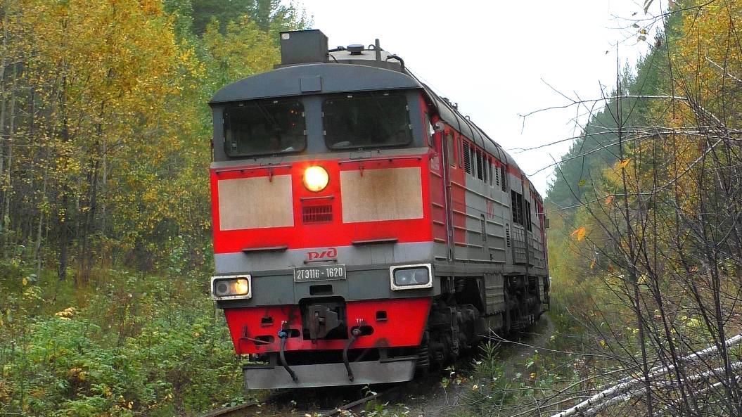 2ТЭ116-1620 с небольшим грузовым поездом и приветливой бригадой