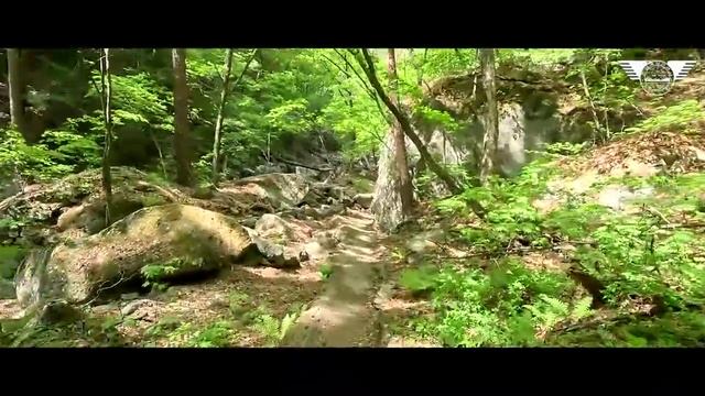 Российские_туристы_5_я_группа_в_ущелье_Манпхок