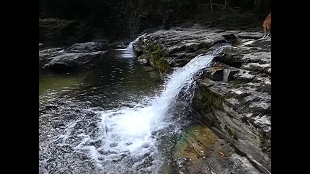 Сочи. Самшитовые Водопады