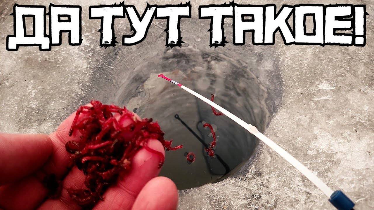 РЫБАЛКА В ЯНВАРЕ ВЫДАЛА ЭТО! Открыли год в НОВОМ МЕСТЕ! Зимняя рыбалка 2025